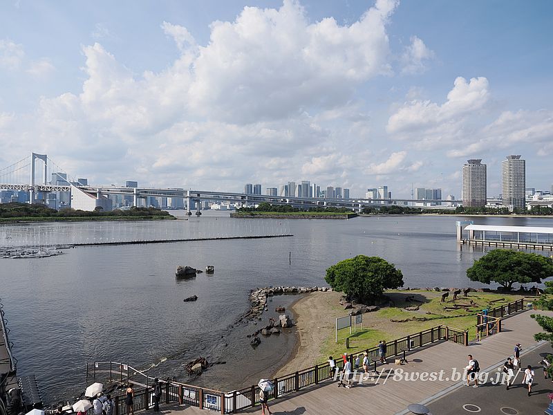 お台場4