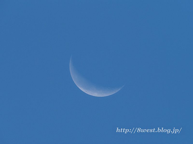 月齢25.11