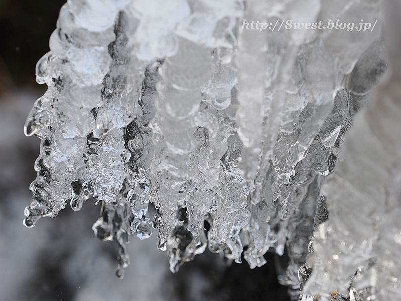 飛沫氷13