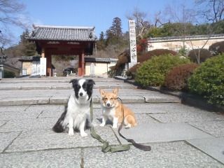 観心寺・延命寺 044