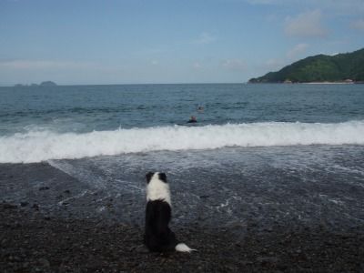 船越海岸・銚子川 040