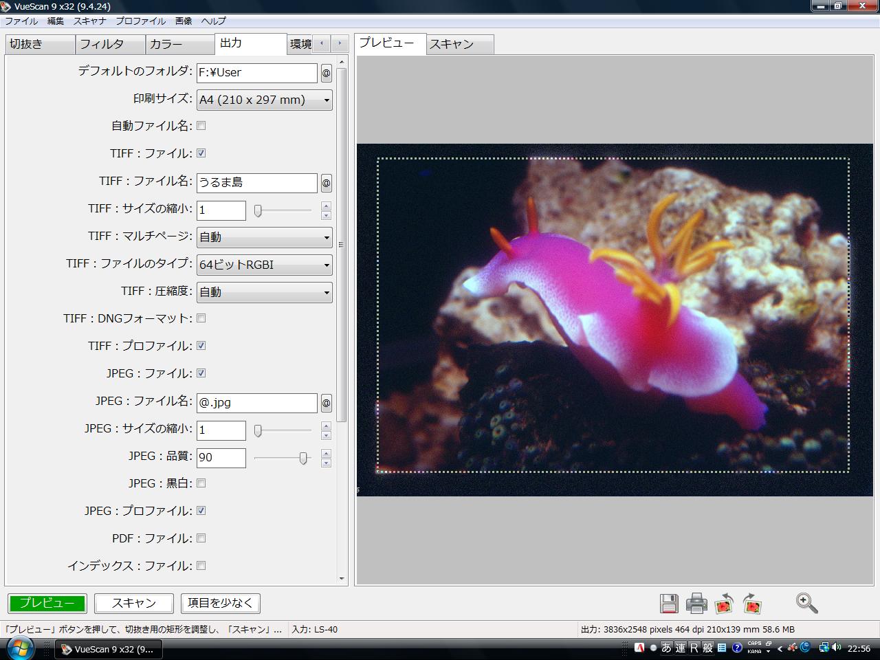 古い写真のスキャン 特例子会社エイジェックフレンドリーのつぶやき 古い写真のスキャン 特例子会社エイジェックフレンドリーのつぶやき