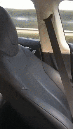 gifs_06 (3)