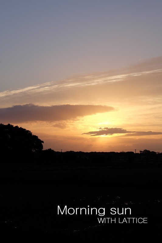 122d6659.jpg