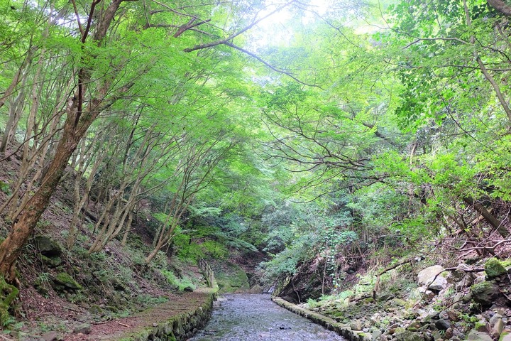 DSCF0846