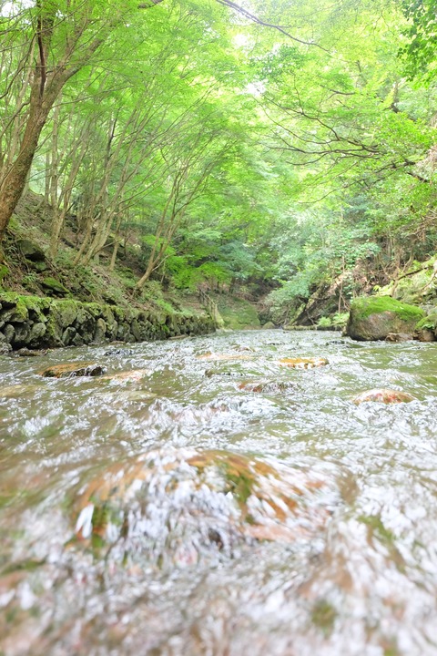 DSCF0845
