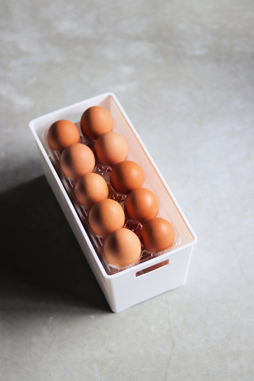 たまごトレー たまごケース 卵パック 卵トレー 32枚 - 素材/材料
