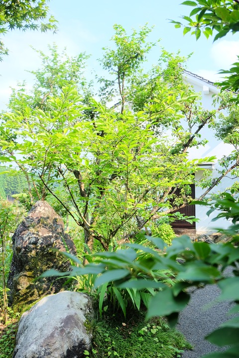 DSCF0835