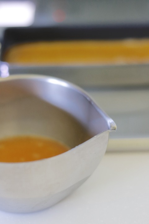 _MG_4155