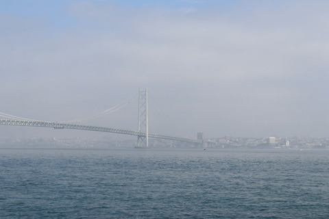 resize4654