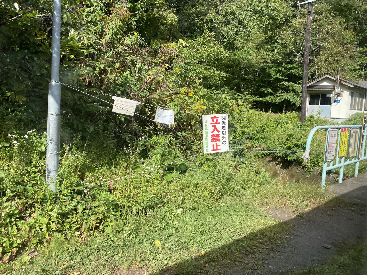 商船三井フェリー さんふらわあ さっぽろ 乗船記 おふね放浪記