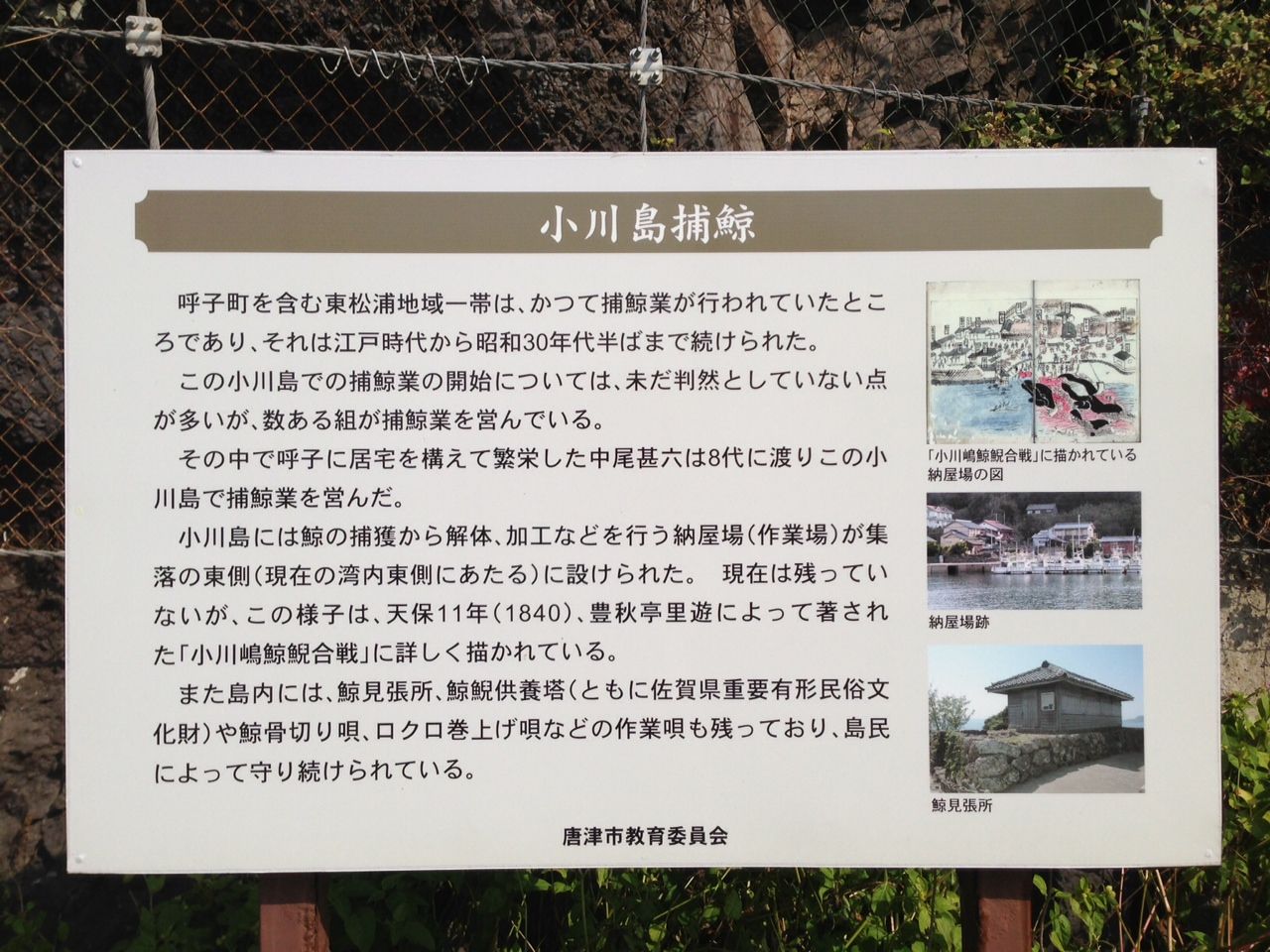 佐賀県沖に浮かぶ島 小川島 へ行ってきました 日々あれこれ 佐賀県沖に浮かぶ島 小川島 へ行ってきました 日々あれこれ