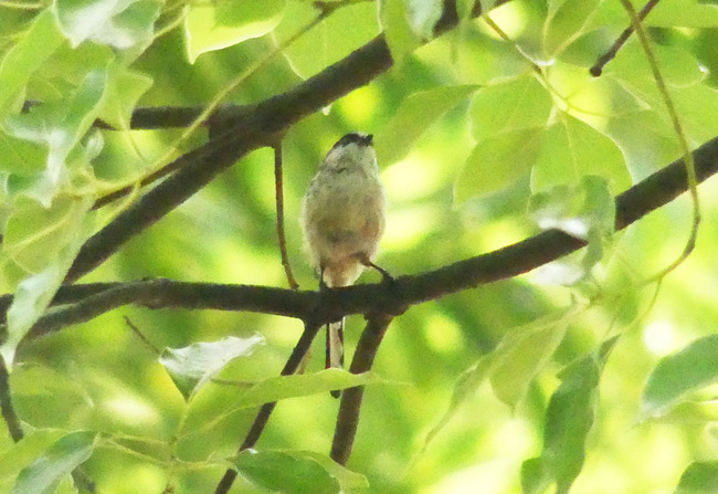 P3150051