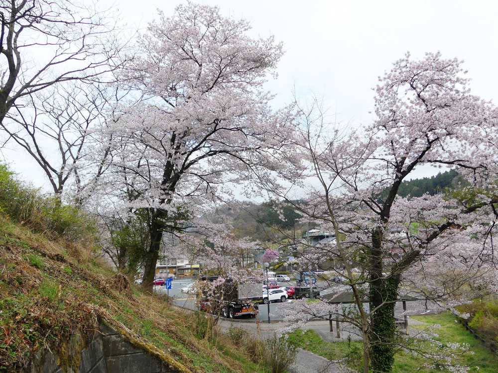 芦ヶ久保からあしがくぼ果樹公園村、埼玉県民の森 四季の風2