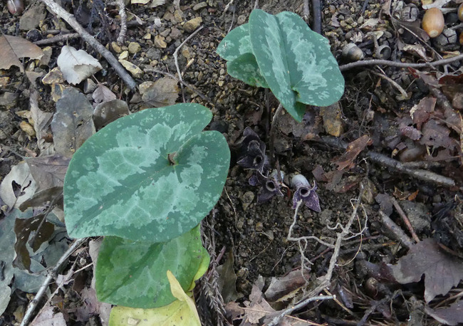 P5520144