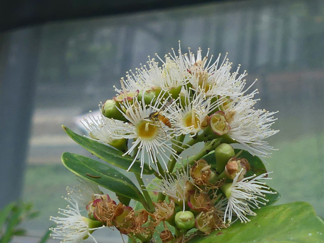P4630113