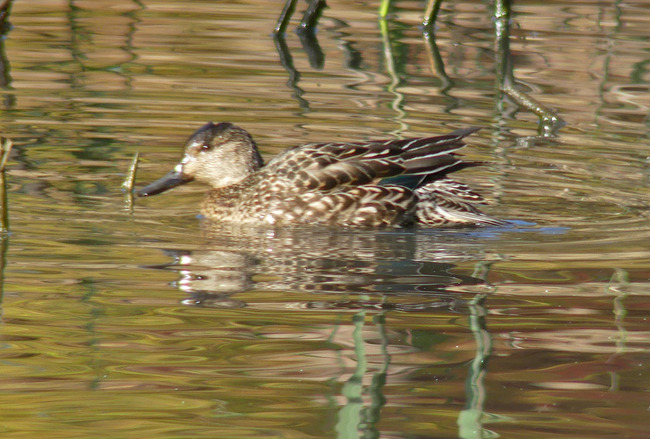 P6810151_edited-1