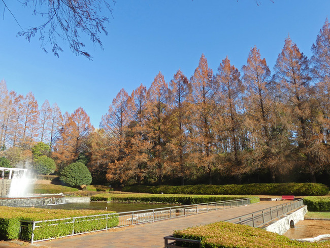 P3730211