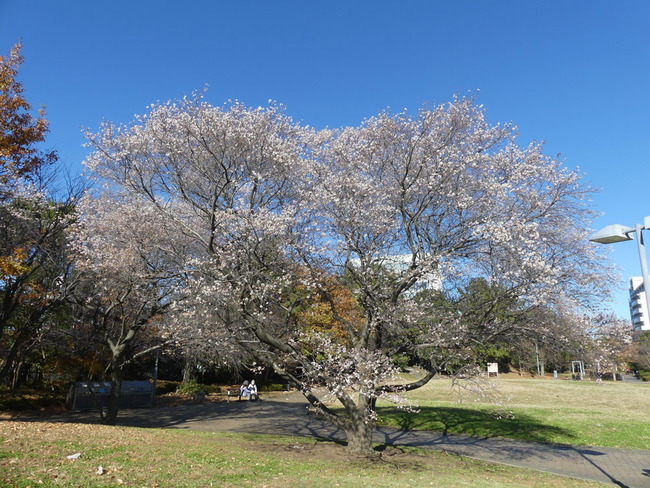 P2380411