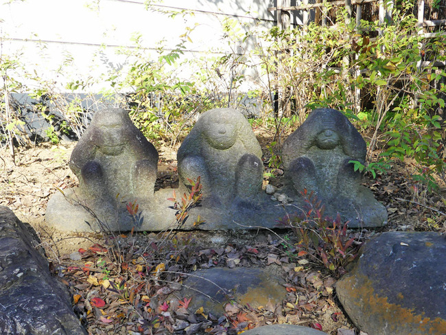 P5660519