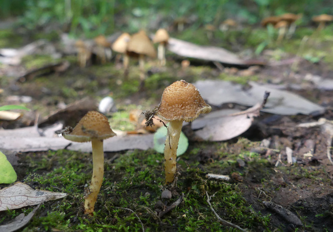 P6790222