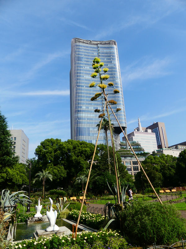 P3600502