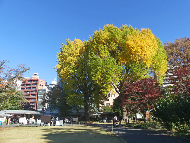 P3630769