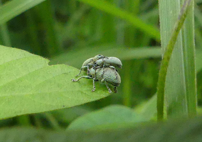 P3550708