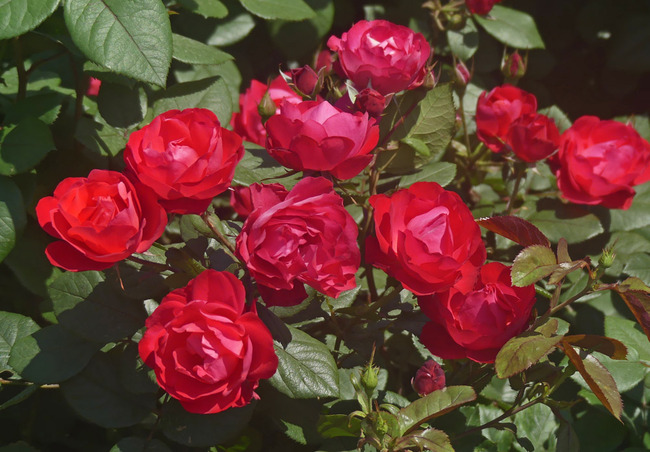 P4070256