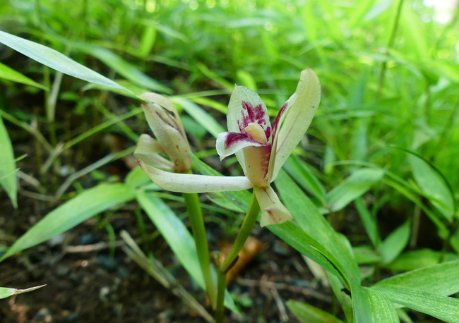 P5220519