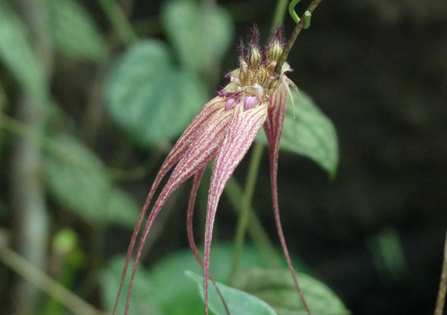 P2330013_edited-1