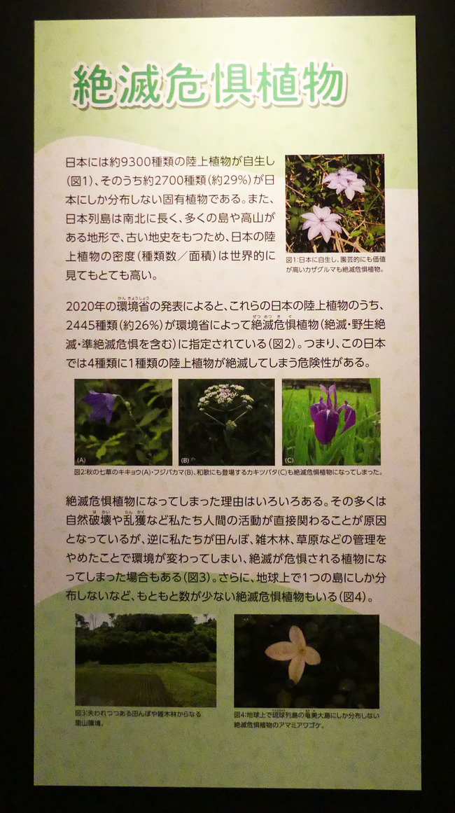 P6690337