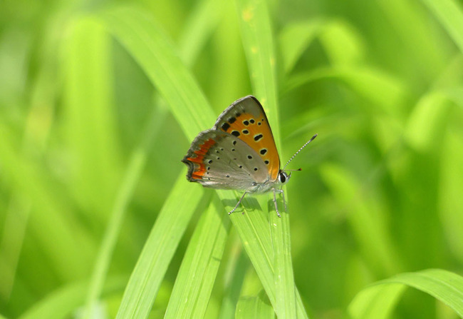 P5040317