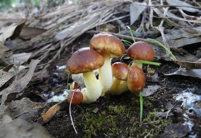 P6790187