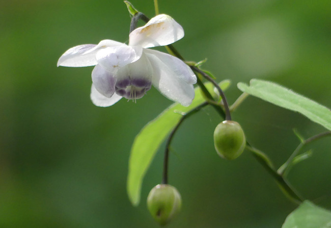 P7890691
