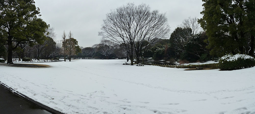 イメージ 8