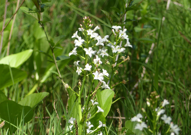 P6290513