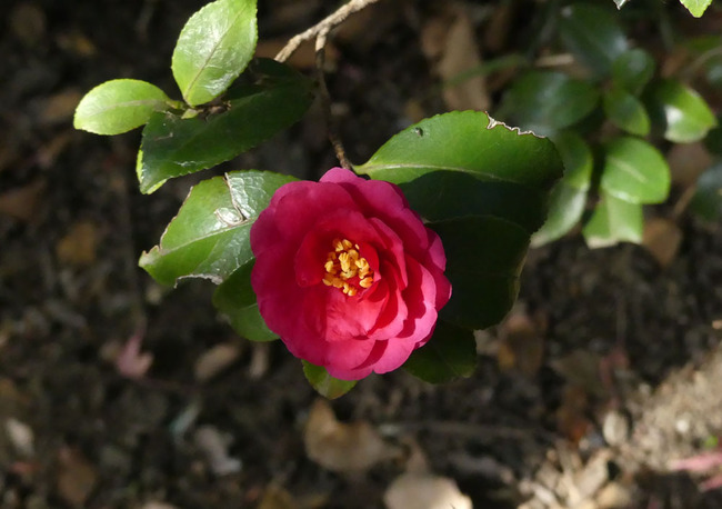 P5830255