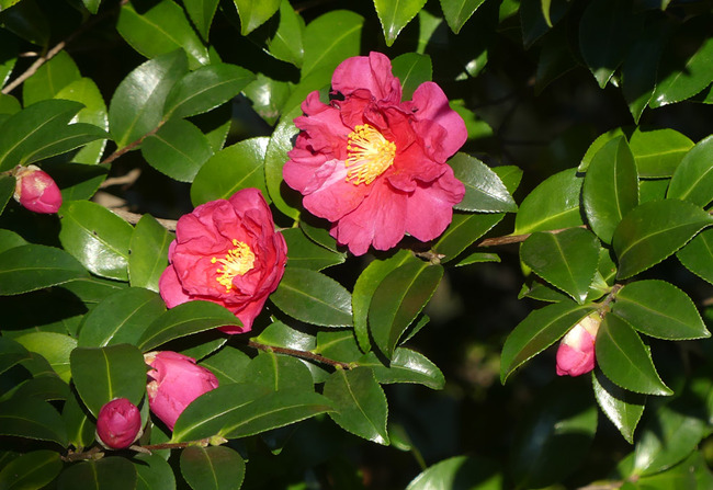 P2380395