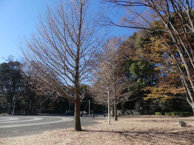P2410263_edited-1