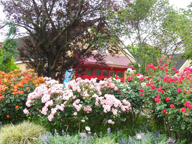 P3040155