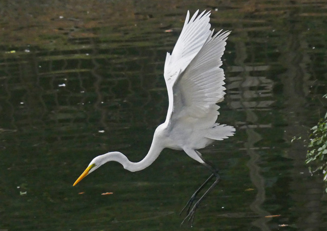 P3360223