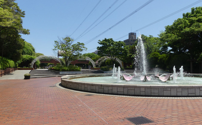 P1790005_edited-1