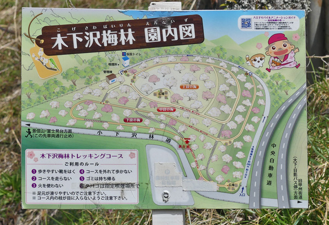 P2710653_edited-1
