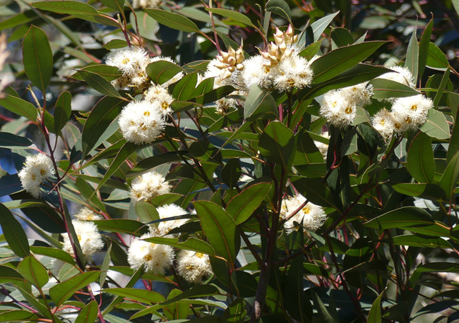 P5980429