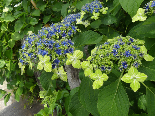 P3100361