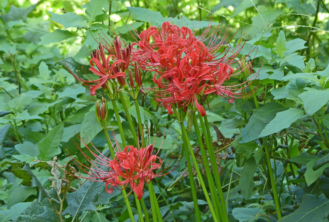 P2120270