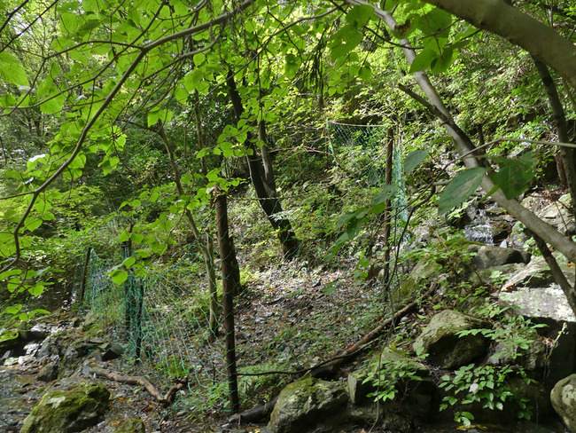 P5670132
