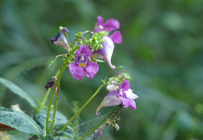 P3490358