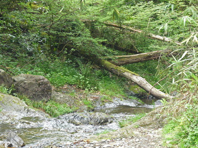 P2900502